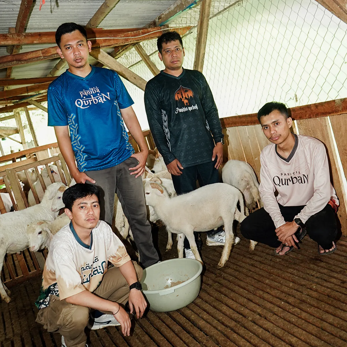 jersey qurban 5